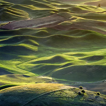 Pacific Northwest