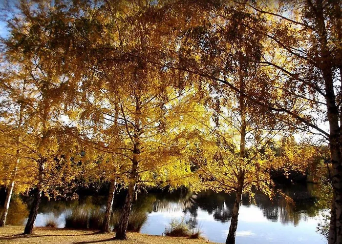Best Hotels in Daylesford